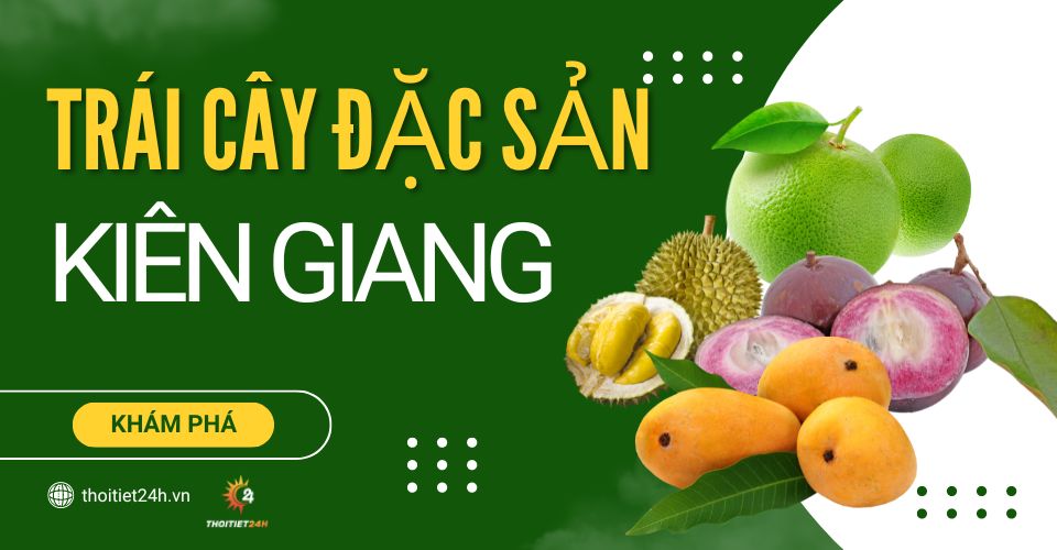 TOP 6 loại trái cây đặc sản Kiên Giang nên thử và mua về làm quà